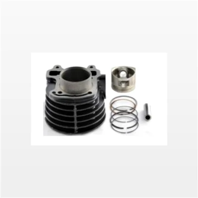 Conjunto de cilindro ACT100G500001